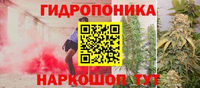 гашик Апрелевка