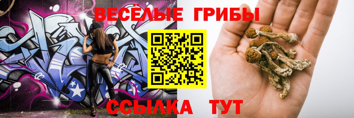 Батайск  Галлюциногенные грибы Psilocybe  Вход с VPN 